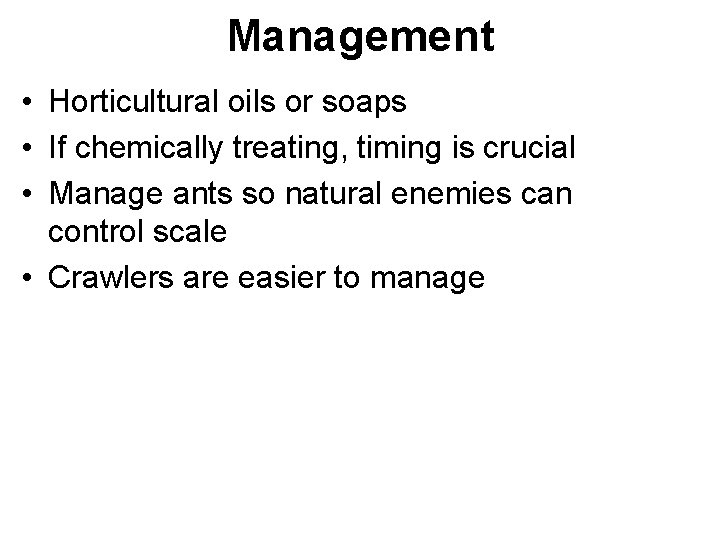 Management • Horticultural oils or soaps • If chemically treating, timing is crucial •
