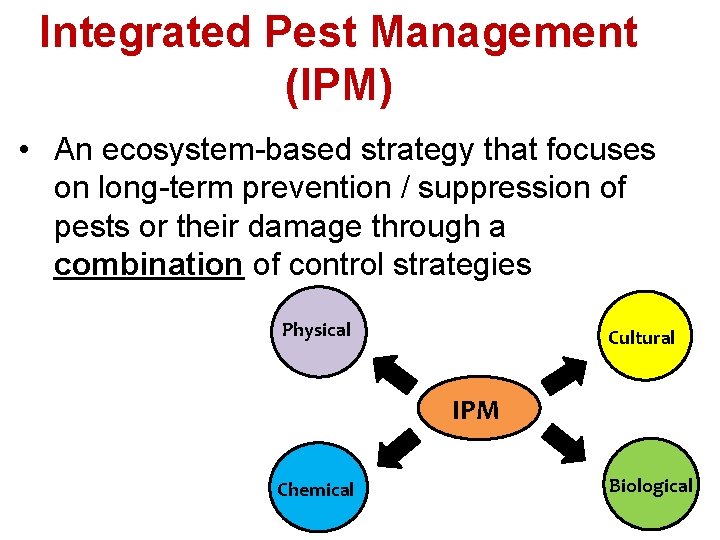 Integrated Pest Management (IPM) • An ecosystem-based strategy that focuses on long-term prevention /
