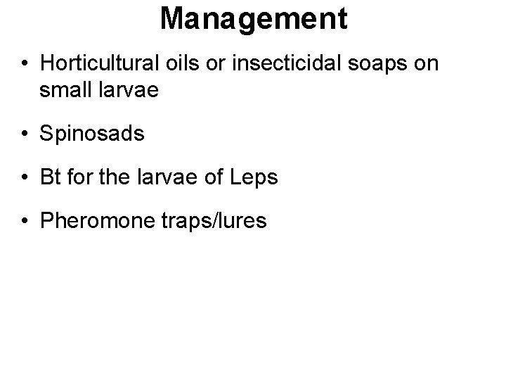 Management • Horticultural oils or insecticidal soaps on small larvae • Spinosads • Bt