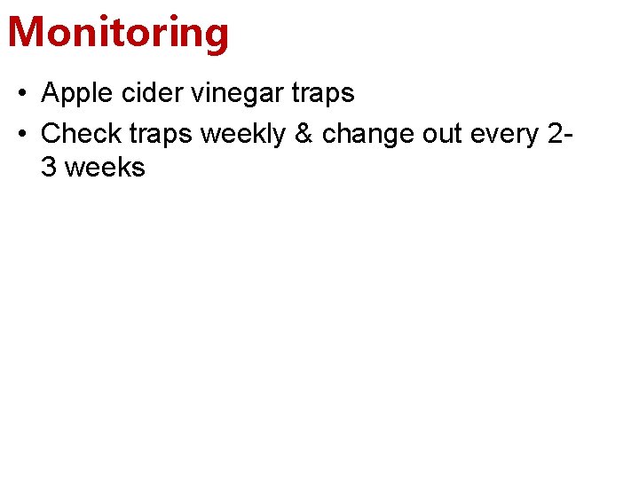 Monitoring • Apple cider vinegar traps • Check traps weekly & change out every