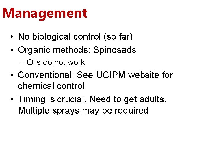 Management • No biological control (so far) • Organic methods: Spinosads – Oils do