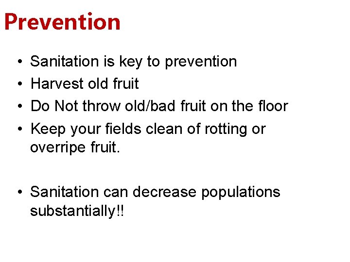 Prevention • • Sanitation is key to prevention Harvest old fruit Do Not throw