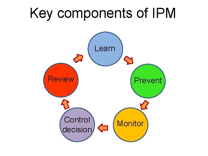 Key components of IPM Learn Review Control decision Prevent Monitor 