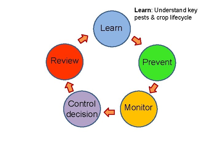 Learn: Understand key pests & crop lifecycle Learn Review Control decision Prevent Monitor 