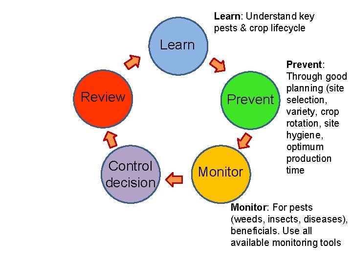 Learn: Understand key pests & crop lifecycle Learn Review Control decision Prevent Monitor Prevent: