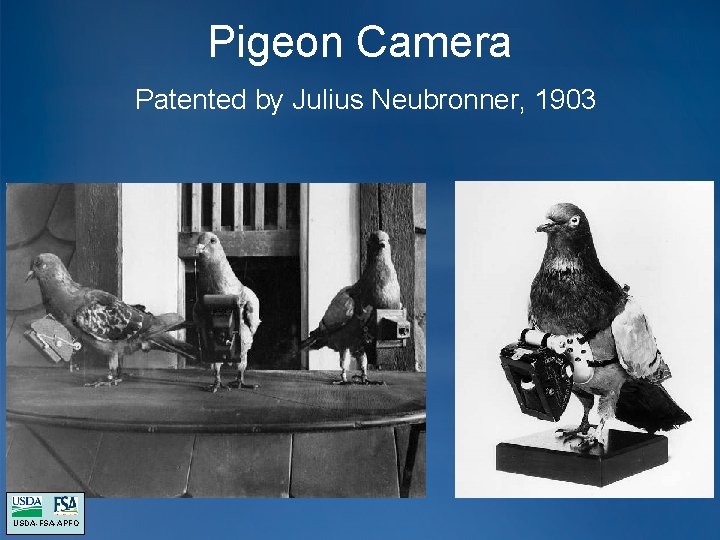 Pigeon Camera Patented by Julius Neubronner, 1903 USDA-FSA-APFO Pigeon Camera Patented by Julius Neubronner, 1903 USDA-FSA-APFO