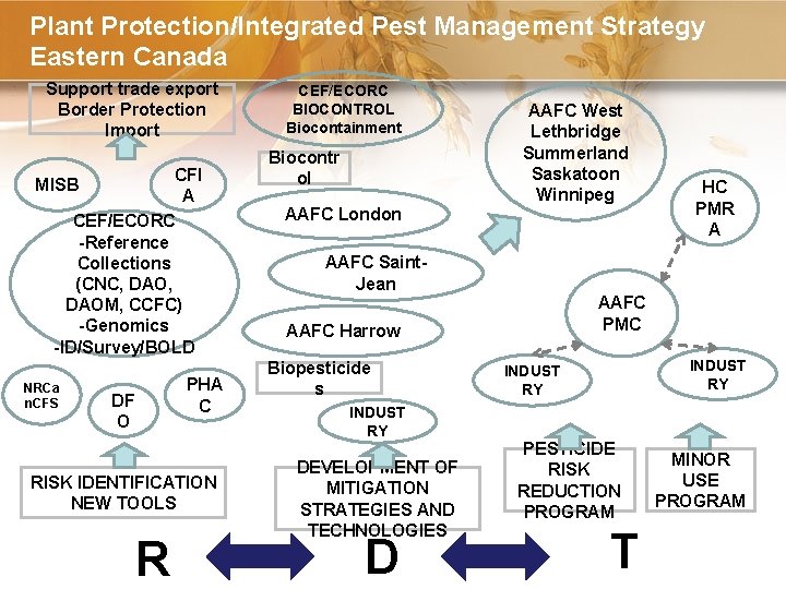 Plant Protection/Integrated Pest Management Strategy Eastern Canada Support trade export Border Protection Import CFI