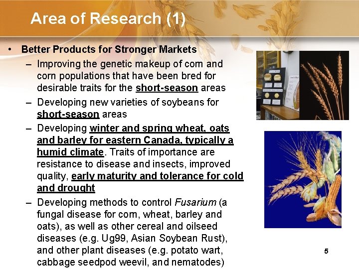 Area of Research (1) • Better Products for Stronger Markets – Improving the genetic