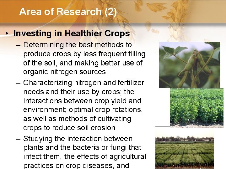 Area of Research (2) • Investing in Healthier Crops – Determining the best methods