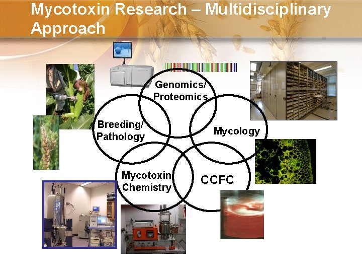 Mycotoxin Research – Multidisciplinary Approach Genomics/ Proteomics Breeding/ Pathology Mycotoxin Chemistry Mycology CCFC 8