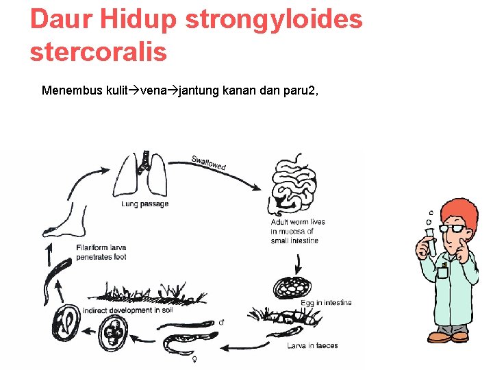 Helmintologi Tm8 Definisi Helmintologi Q Bahasa Yunani Helminth