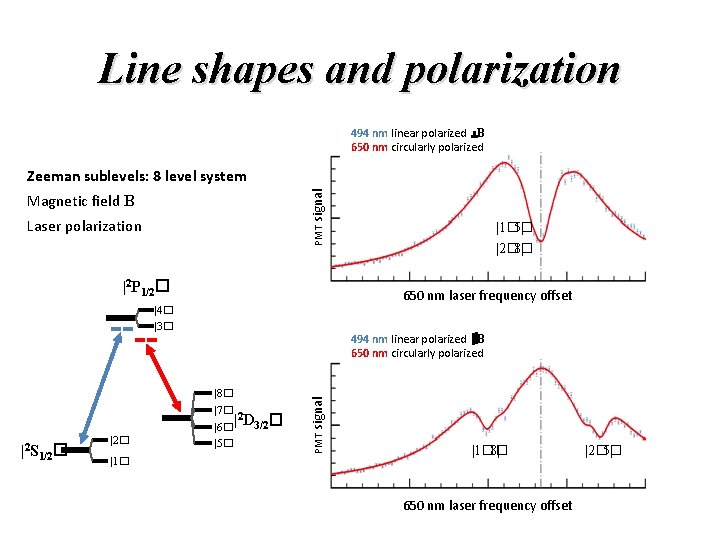 Line shapes and polarization 494 nm linear polarized B 650 nm circularly polarized PMT Line shapes and polarization 494 nm linear polarized B 650 nm circularly polarized PMT