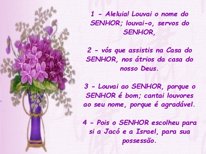 1 - Aleluia! Louvai o nome do SENHOR; louvai-o, servos do SENHOR, 2 -