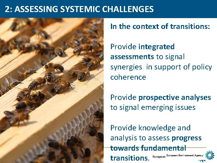 2: ASSESSING SYSTEMIC CHALLENGES In the context of transitions: Provide integrated assessments to signal