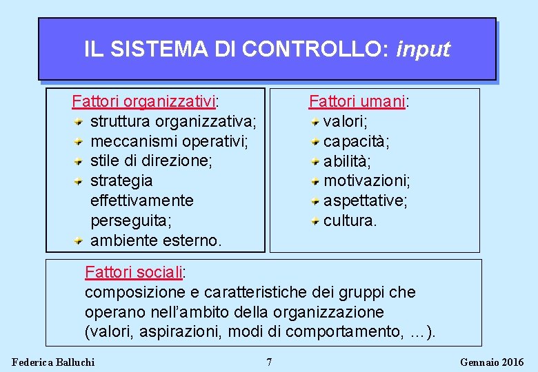 IL SISTEMA DI CONTROLLO: input Fattori organizzativi: struttura organizzativa; meccanismi operativi; stile di direzione;