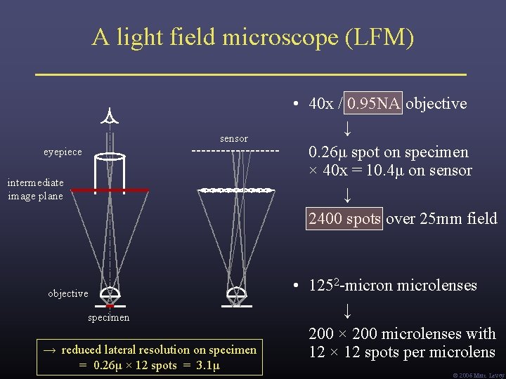A light field microscope (LFM) sensor eyepiece intermediate image plane objective specimen → reduced A light field microscope (LFM) sensor eyepiece intermediate image plane objective specimen → reduced