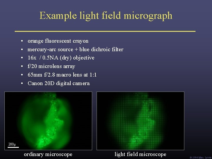 Example light field micrograph • • • orange fluorescent crayon mercury-arc source + blue Example light field micrograph • • • orange fluorescent crayon mercury-arc source + blue