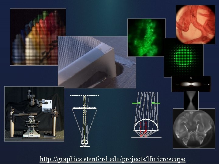 http: //graphics. stanford. edu/projects/lfmicroscope Ó 2006 Marc Levoy http: //graphics. stanford. edu/projects/lfmicroscope Ó 2006 Marc Levoy