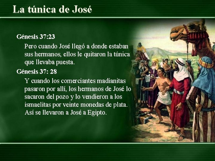 La túnica de José Génesis 37: 23 Pero cuando José llegó a donde estaban