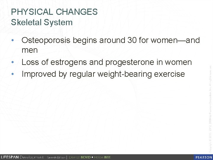 PHYSICAL CHANGES Skeletal System • Osteoporosis begins around 30 for women—and men • Loss