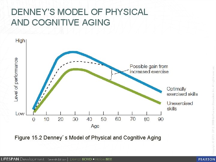 DENNEY’S MODEL OF PHYSICAL AND COGNITIVE AGING Figure 15. 2 Denney’s Model of Physical