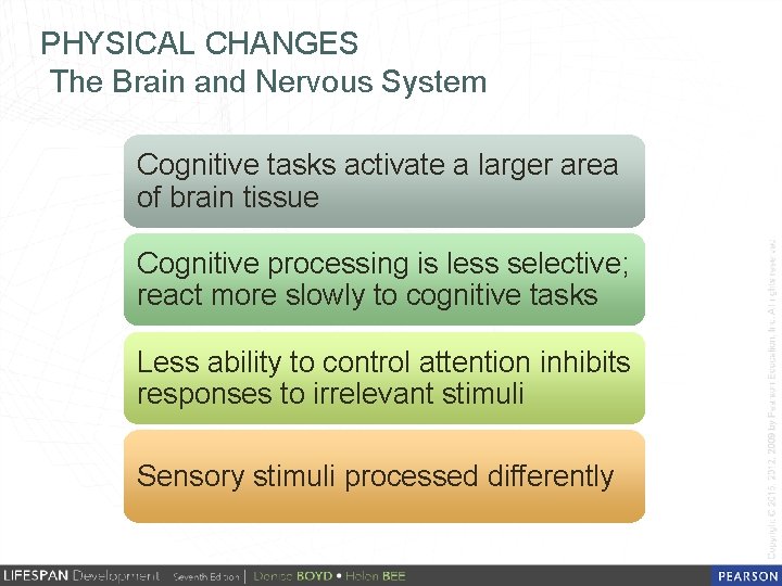 PHYSICAL CHANGES The Brain and Nervous System Cognitive tasks activate a larger area of