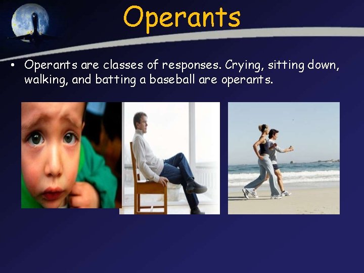 Operants • Operants are classes of responses. Crying, sitting down, walking, and batting a