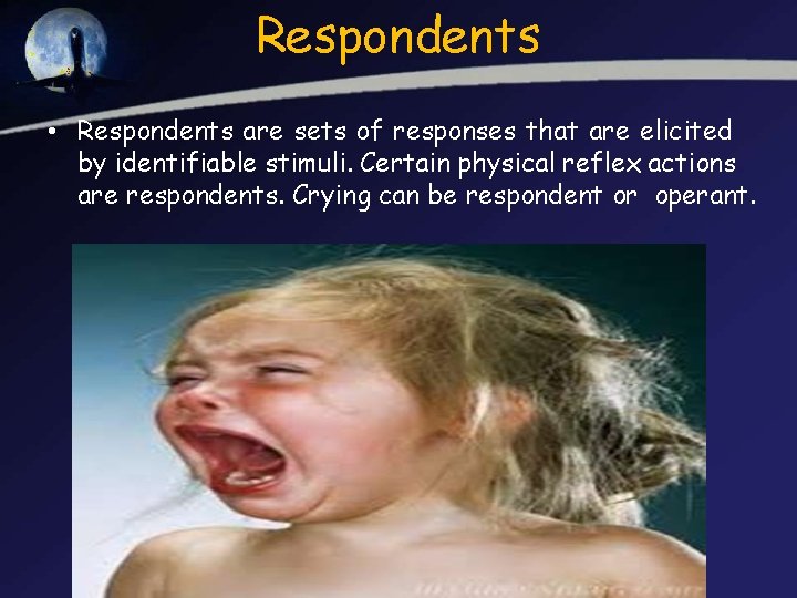 Respondents • Respondents are sets of responses that are elicited by identifiable stimuli. Certain