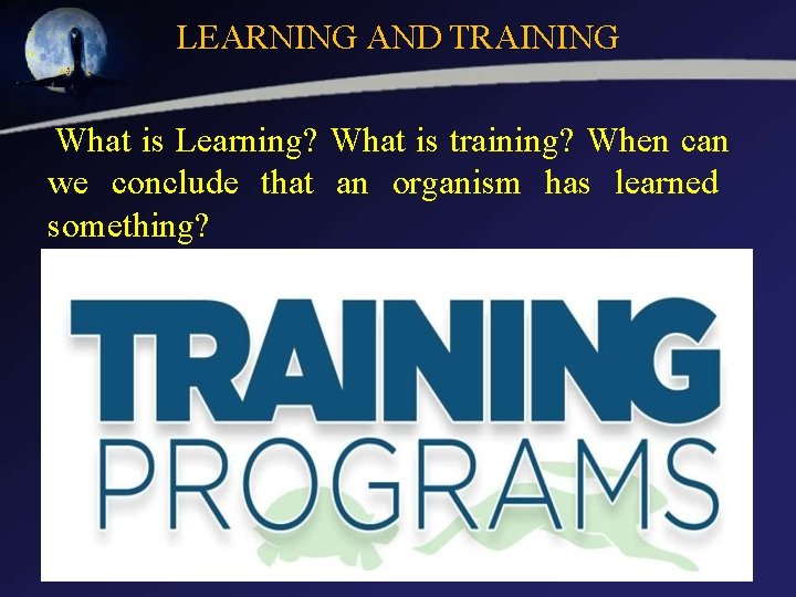 LEARNING AND TRAINING What is Learning? What is training? When can we conclude that