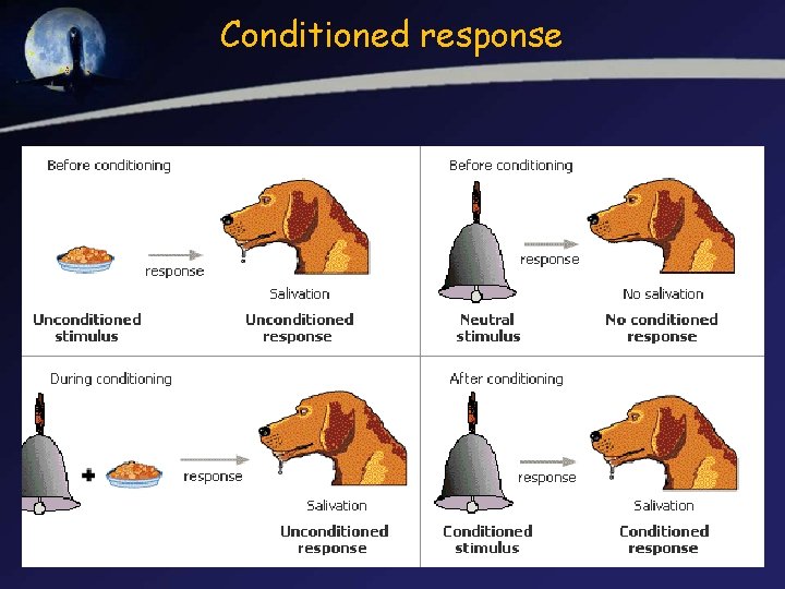 Conditioned response 
