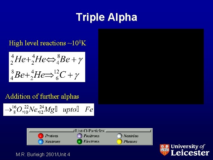Triple Alpha High level reactions ~108 K Addition of further alphas M. R. Burleigh