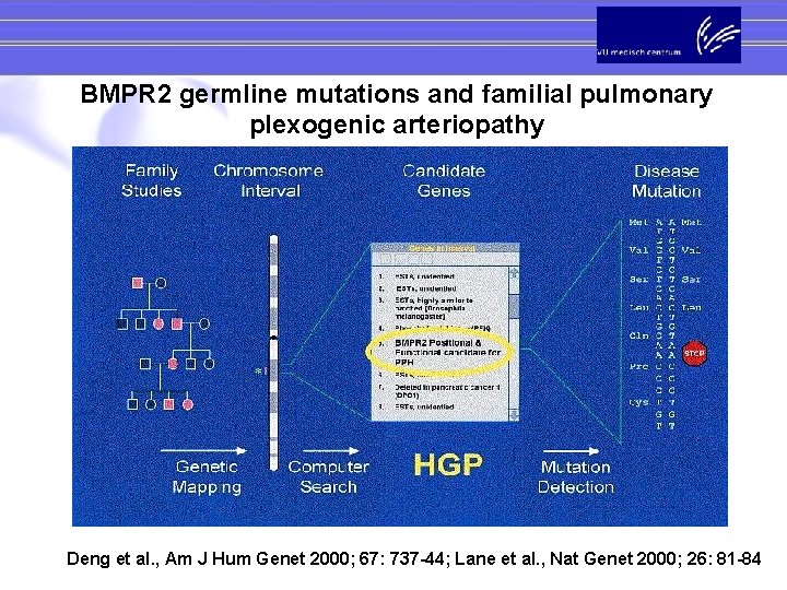 BMPR 2 germline mutations and familial pulmonary plexogenic arteriopathy Deng et al. , Am