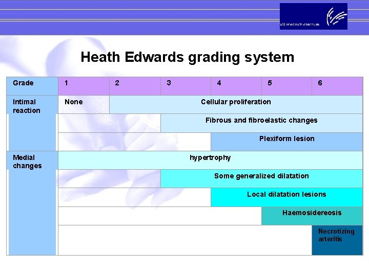 Heath Edwards grading system Grade 1 Intimal reaction None 2 3 4 Fibrous and