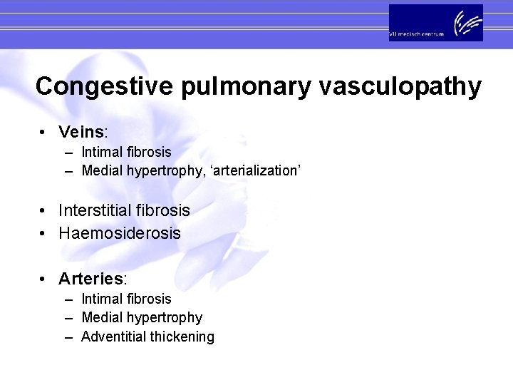 Congestive pulmonary vasculopathy • Veins: – Intimal fibrosis – Medial hypertrophy, ‘arterialization’ • Interstitial