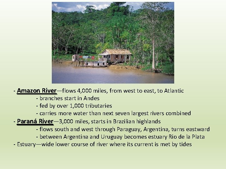 - Amazon River—flows 4, 000 miles, from west to east, to Atlantic - branches - Amazon River—flows 4, 000 miles, from west to east, to Atlantic - branches