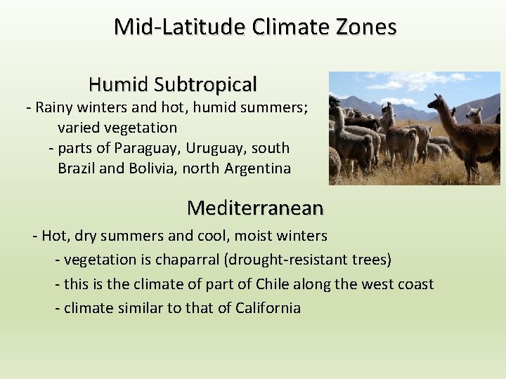Mid-Latitude Climate Zones Humid Subtropical - Rainy winters and hot, humid summers; varied vegetation Mid-Latitude Climate Zones Humid Subtropical - Rainy winters and hot, humid summers; varied vegetation