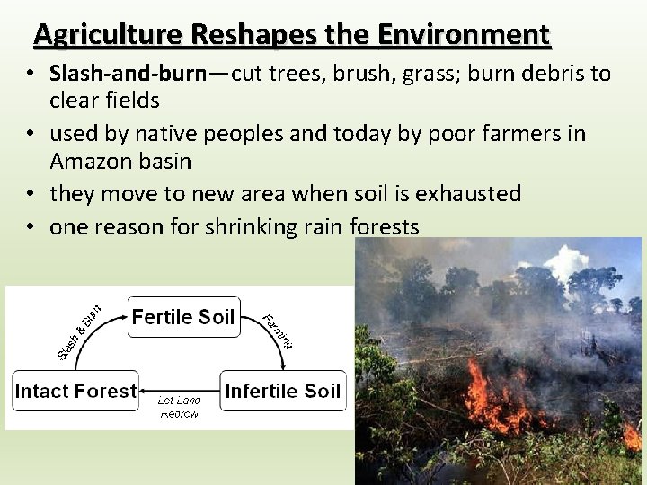 Agriculture Reshapes the Environment • Slash-and-burn—cut trees, brush, grass; burn debris to clear fields Agriculture Reshapes the Environment • Slash-and-burn—cut trees, brush, grass; burn debris to clear fields