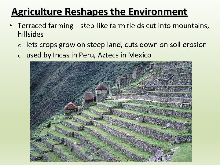 Agriculture Reshapes the Environment • Terraced farming—step-like farm fields cut into mountains, hillsides o Agriculture Reshapes the Environment • Terraced farming—step-like farm fields cut into mountains, hillsides o