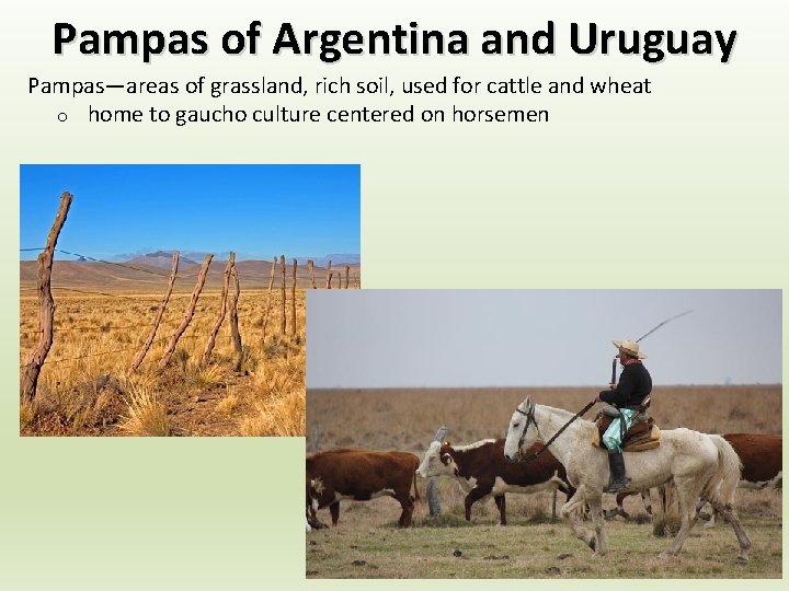 Pampas of Argentina and Uruguay Pampas—areas of grassland, rich soil, used for cattle and Pampas of Argentina and Uruguay Pampas—areas of grassland, rich soil, used for cattle and
