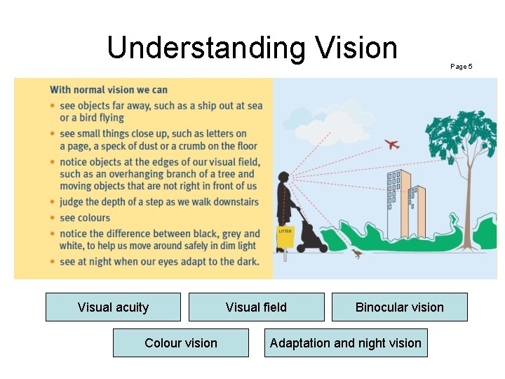 Understanding Vision Visual acuity Colour vision Visual field Binocular vision Adaptation and night vision Understanding Vision Visual acuity Colour vision Visual field Binocular vision Adaptation and night vision