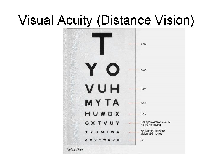 Visual Acuity (Distance Vision) Visual Acuity (Distance Vision)
