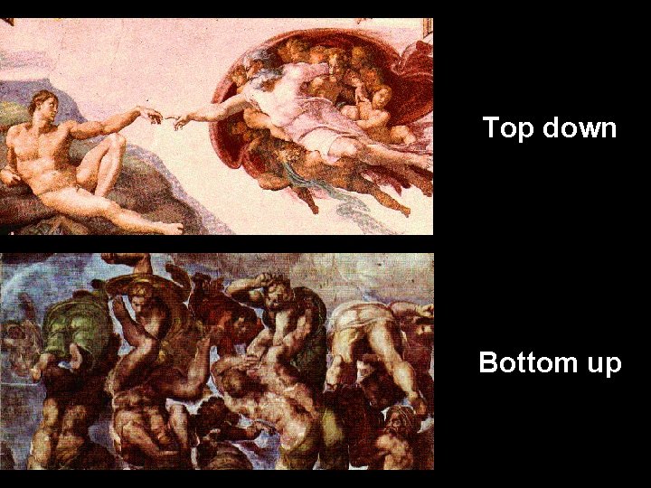 Top down Bottom up 