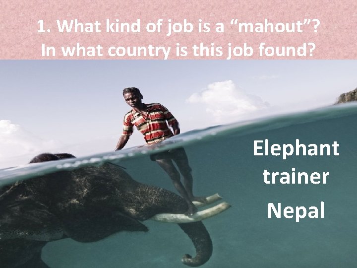 1. What kind of job is a “mahout”? In what country is this job