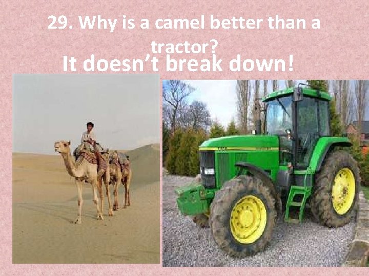 29. Why is a camel better than a tractor? It doesn’t break down! 