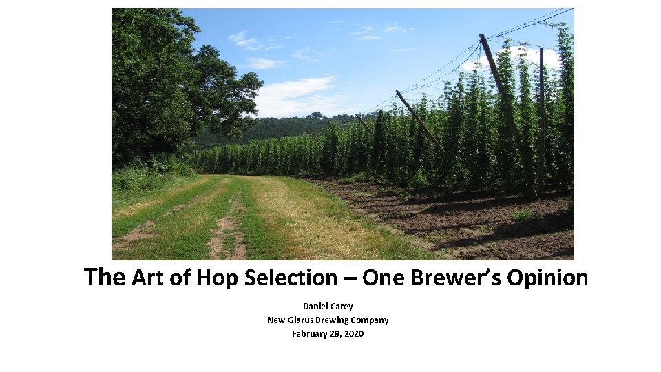 The Art of Hop Selection – One Brewer’s Opinion Daniel Carey New Glarus Brewing