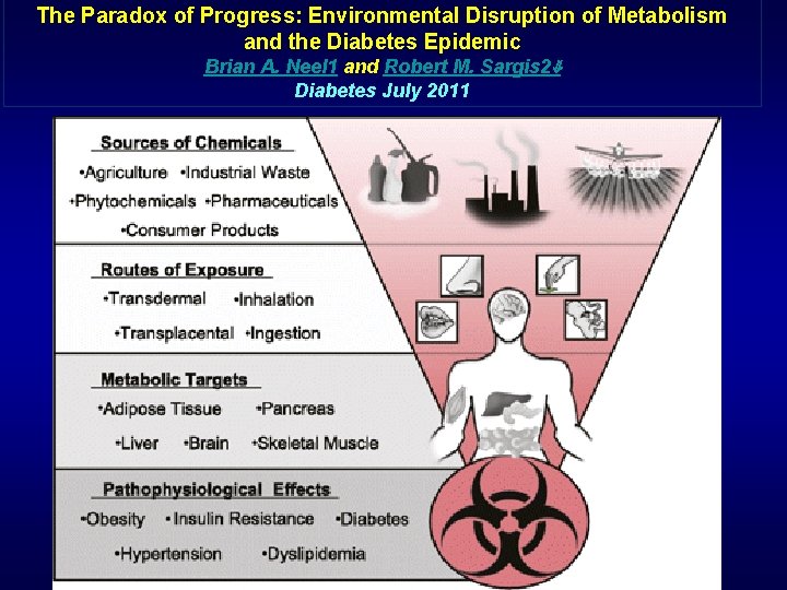 The Paradox of Progress: Environmental Disruption of Metabolism and the Diabetes Epidemic Brian A.