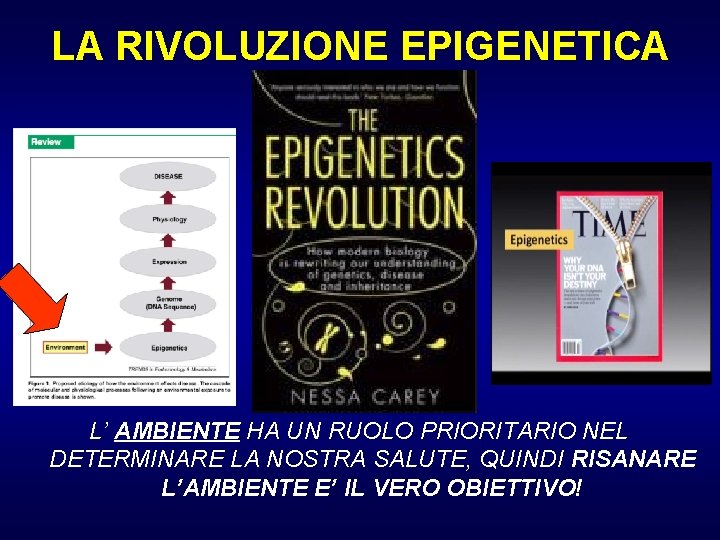 LA RIVOLUZIONE EPIGENETICA L’ AMBIENTE HA UN RUOLO PRIORITARIO NEL DETERMINARE LA NOSTRA SALUTE,