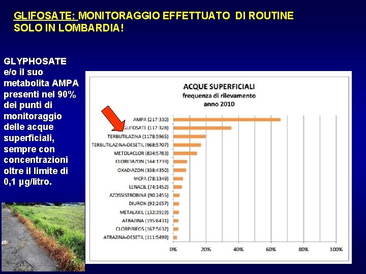 GLIFOSATE: MONITORAGGIO EFFETTUATO DI ROUTINE SOLO IN LOMBARDIA! GLYPHOSATE e/o il suo metabolita AMPA