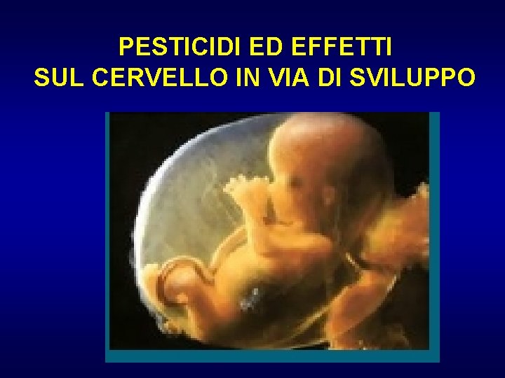 PESTICIDI ED EFFETTI SUL CERVELLO IN VIA DI SVILUPPO 
