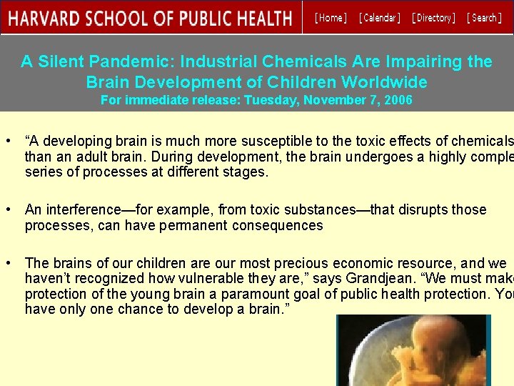 A Silent Pandemic: Industrial Chemicals Are Impairing the Brain Development of Children Worldwide For
